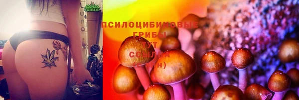 ешки Абинск