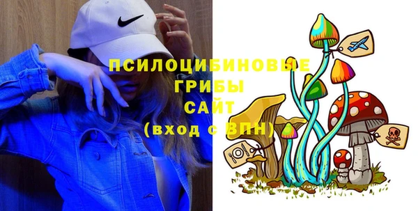Альфа ПВП Ростов