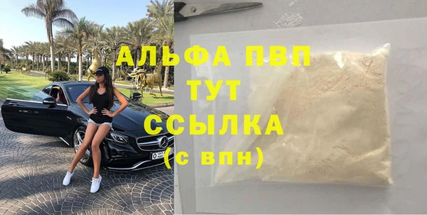 сатива Россошь