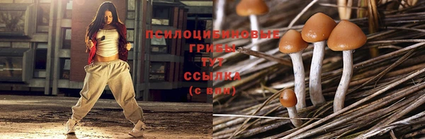 ешки Абинск