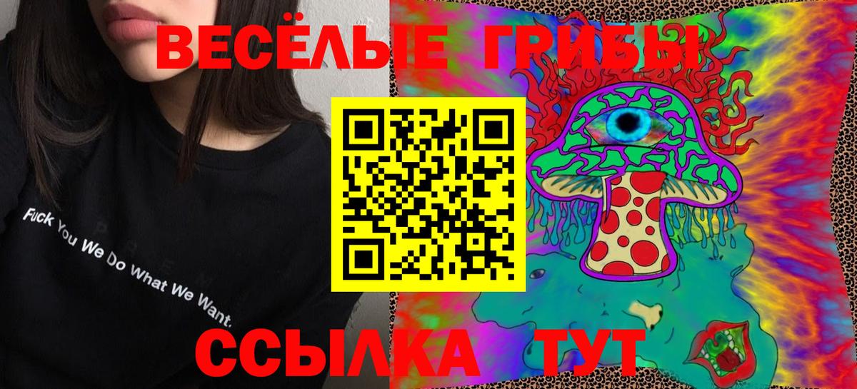 Галлюциногенные грибы Magic Shrooms  Вход с VPN  Богданович 